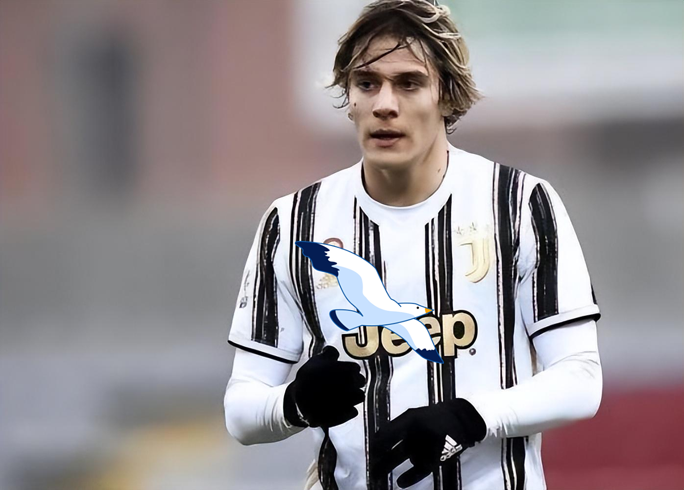 包含孟菲斯灰熊发布备战花絮，集结日止住颓势，意甲任务艰巨，阵容厚度经受考验的词条